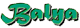 Balya Cancer Retreat 