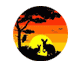 Pilbara Wildlife Carers Association 