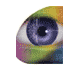 Sight Saving Appeal