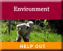 Volunteer to Help the Environment