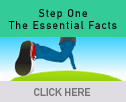 Boards - The essential facts