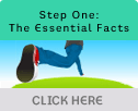 Boards - The essential facts