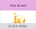 Hot Grant - Grant of the Month from the EasyGrants Newsletter