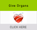 Giving or Donating your Organs in Australia