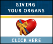 Giving your Organs