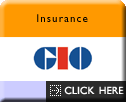 Insurance - GIO