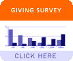 Giving Survey