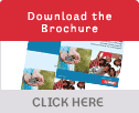Marketing, Media & Post Brochure