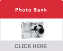 Images, Ideas & Layouts