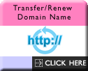 Transfer/Renew a domain name