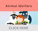 animal welfare